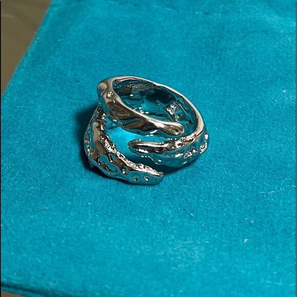 - The Jurassic Ring in 925 silver, adjustable - Picture 6 of 10